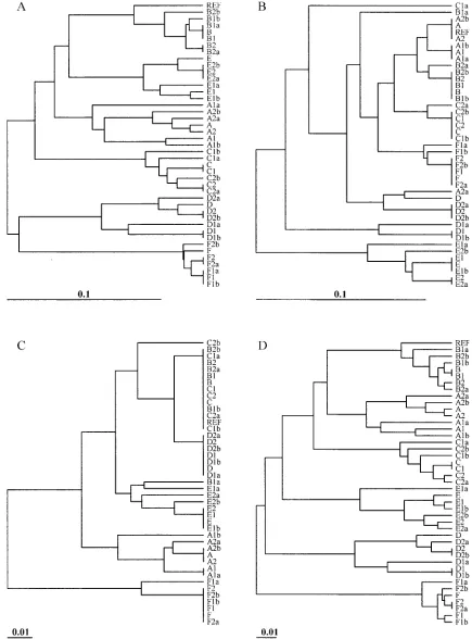 FIG. 7. Dendrograms depicting the relatedness of the ecological population of isolates and imperfect matching