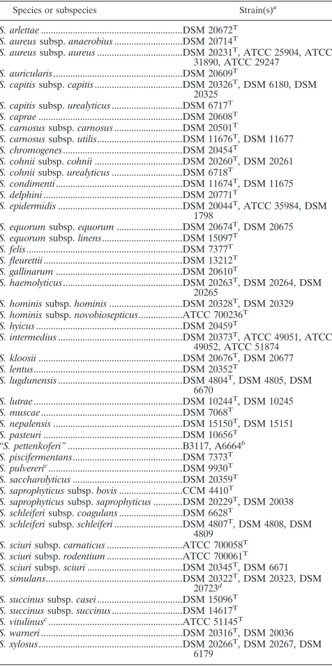 TABLE 1. List of 5� 16S rDNA-sequenced staphylococcal culturecollection strains (n � 81)