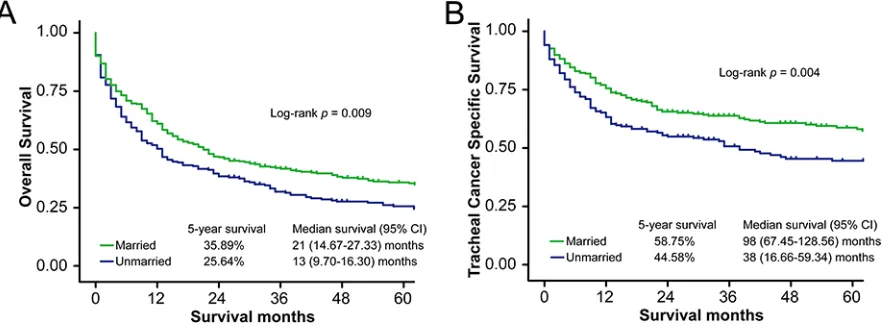 Figure 1: Survival curves in patients with tracheal cancer according to marital status, married vs