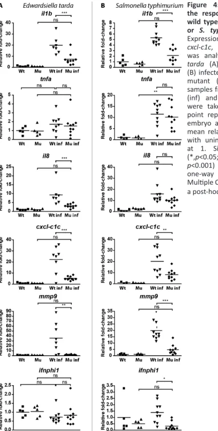 Figure  4:  qPCR  analysis  of  the response of myd88 -/-  and  wild type embryos to E