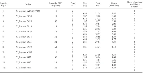 TABLE 2. Results of NheI-digested 23S ribosomal DNA-pooled PCR products resolved with LabChip 1000 technology in an AgilentBioanalyzer 2100