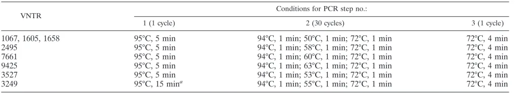 TABLE 2. VNTR primer sequences