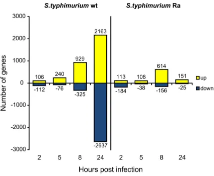 FIGURE 1. Temporal expression profiles of genes responsive to S. typhimurium wt and Ra infection