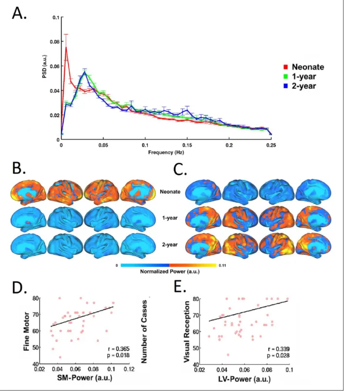Figure 8.  Frequency shift of spontaneous BOLD signals during infancy and its behavioral associations