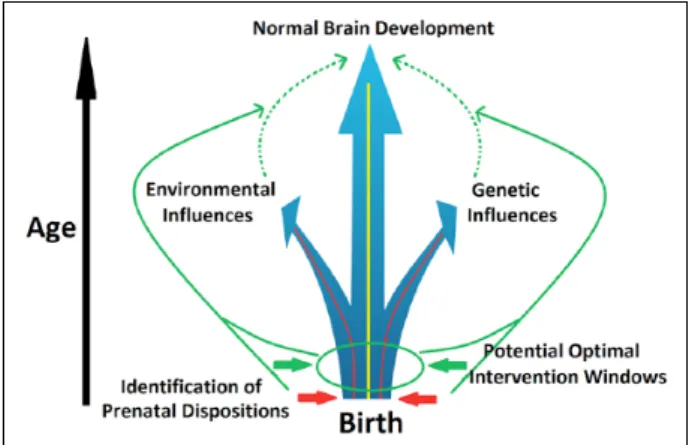 Figure 1.  The goal of rectifying abnormal brain growth  trajectories induced by genetic and/or environmental risk  factors through early identification of potential prenatal  dispositions and subsequent preventive intervention.
