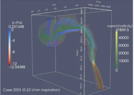 Figure 3. Computational Fluid Dynamics (CFD) Outline