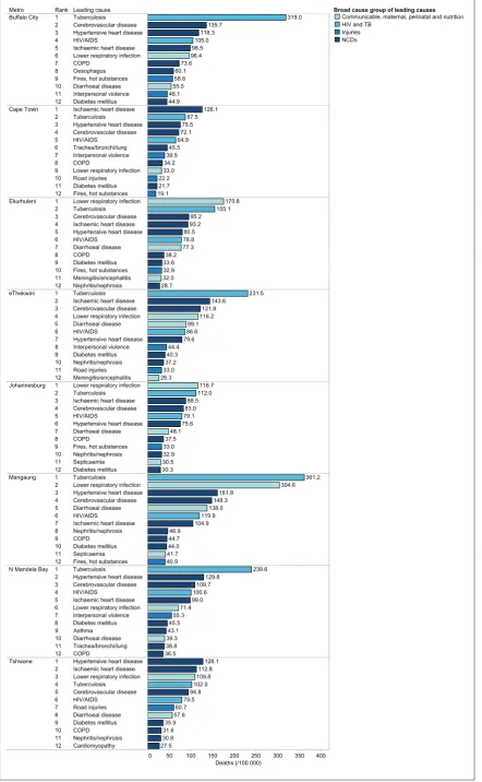Fig. 2. Leading age-standardised mortality rates (deaths/100 000 population) by metro, highlighting NCD causes, 2009