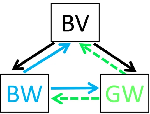 Figure 5. Summary of effects of competitors on the Blue-headed vireo (BV, black arrows), Black-throated  Blue Warbler (BW, blue arrows), and Black-throated Green Warbler (GW, green arrows)