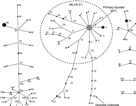 FIG. 2. eBURST clustering of the 127 different MLVA proﬁles. In the eBURST algorithm, each MT is represented as a node (solid black dot).For clarity, only clusters or clonal complexes of related MTs are depicted