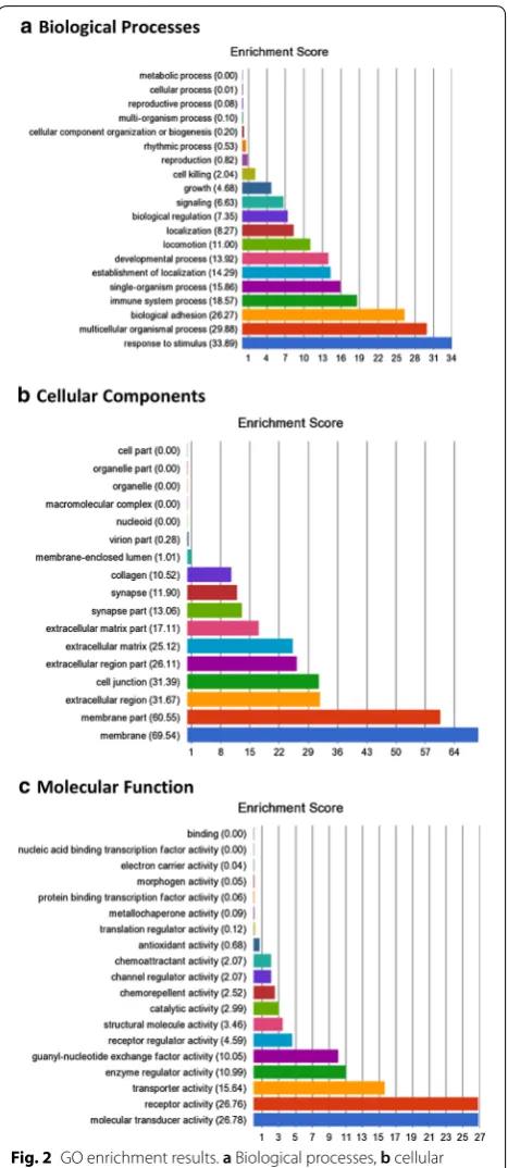 Fig. 2 GO enrichment results. a Biological processes, b cellular components, c molecular functions