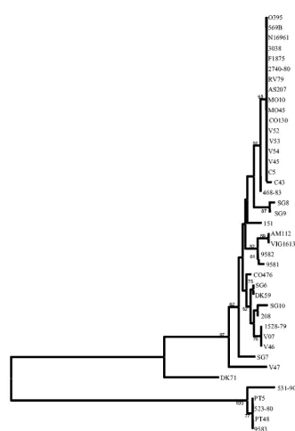 FIG. 5. Neighbor-joining tree constructed by the Jukes-Cantor method with the nucleotide sequences of mdhstrains