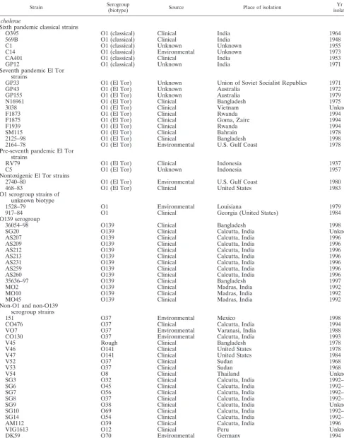 TABLE 1. Strains used in this study