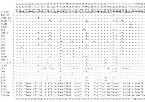 FIG. 2. Polymorphic sites within the mdhCO130, V45, V52, V53, and V54. The numbering of the polymorphic sites (vertical format) is from the ﬁrst position of the sequence segment