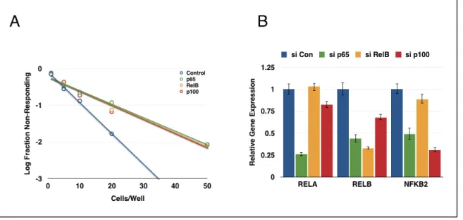Figure 2.4 Multiple NF-κB subunits contribute to neurosphere formation 