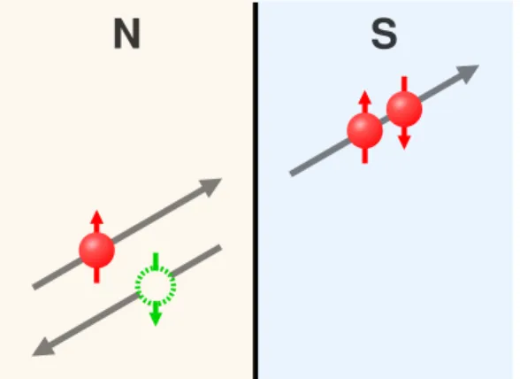 Figure 2.1: Andreev reflection: An electron (red) meeting the interface between a normal conductor (N) and a superconductor (S) produces a Cooper pair in the superconductor and a retroreflected hole (green) in the normal conductor