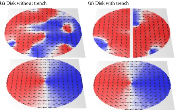 Figure 3.2: Micromagnetic simulations results for the magnetisation. Field lines are shown and colours denote up (red) or down (blue) direction