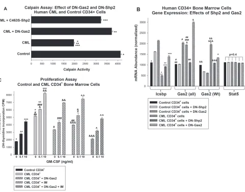 Figure 6. Inhibition of Shp2 or Gas2 increased Calpain activity and Icsbp expression in primary human CD34+ bone marrow cells from CML subjects