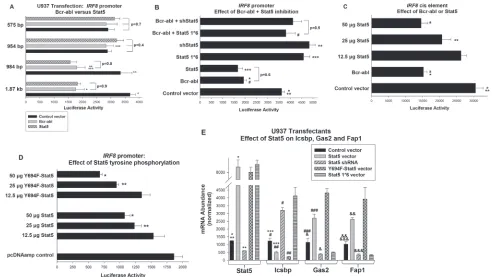 Figure 2: Decreased activity of the human IRF8 promoter in Bcr-abl expressing cells did not require Stat5 tyrosine phosphorylation, but did require an NCoR-interaction domain in Stat5