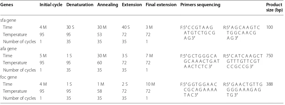 Table 1 Primers and PCR timetable program for sfa, afa, and foc genes in UPEC strain