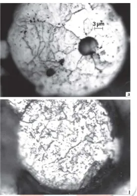 Fig. 8  OM section views of (a) Ar-atomized and (b) N2-atomized 17-4 PH stainless steel powders 