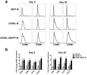 Figure 3: The co-culture with 293T-CD40L-sBAFF enhanced the expression of T co-stimulatory molecules on B lymphocytes