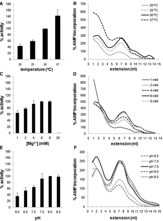 Figure 3. Biochemical determinants of SARS-CoV nsp12 activity. (A and B) Tests to determine the inﬂuence of temperature indicated that nsp12 incorporates ATP most eﬃciently at 37  C, although this eﬀect mainly stemmed from increased initiation