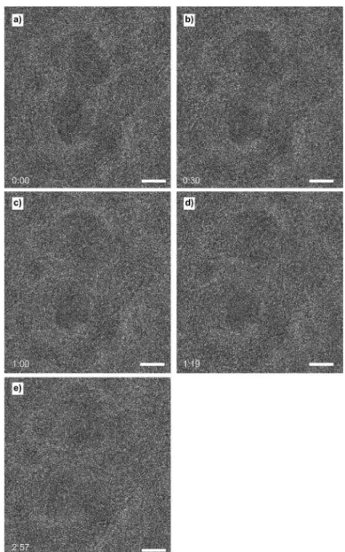 Fig. 10 Cobalt nanoparticle encapsulated and deformed by an assembly of carbon layers (a)