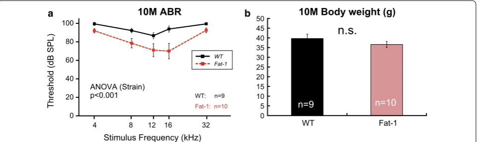 Fig. 2 Auditory brainstem response (ABR) thresholds and body weights at 10 months of age