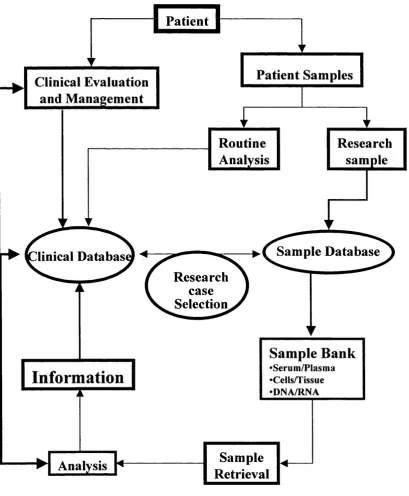 Figure 3. Clinical/sample Database Flow Chart