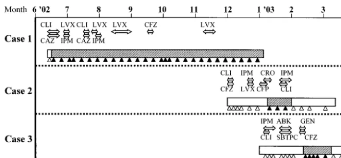 FIG. 2. Sequence of isolation of cefotaxime-resistant A. baumanniiRectangles, periods of hospitalization; black triangles, times of isolation of cefotaxime-resistantopen triangles, times that cefotaxime-resistantof probable colonization or infection with C