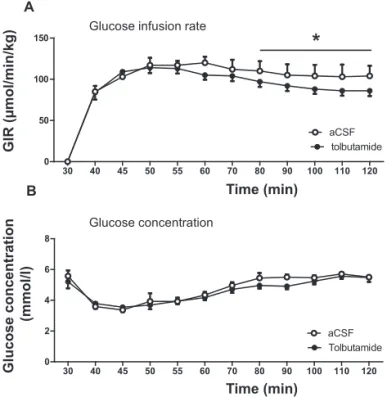 Fig.  3.  Glucose  infusion  rates  (GIR,  A)  and  glucose  concentrations  (B)  during  hyperinsulinemic-euglycemic  clamp  in  chow  fed  mice