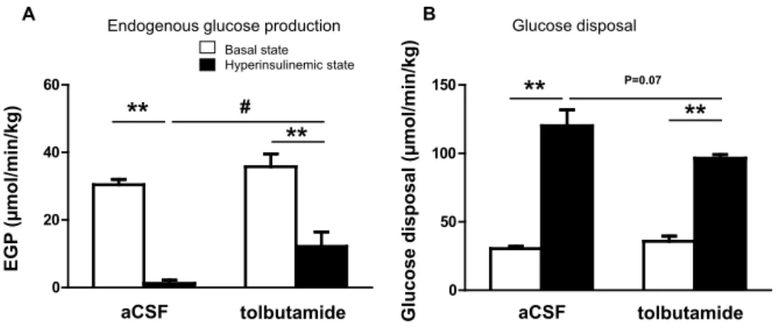 Fig. 4. Rates of endogenous glucose production (EGP, A) and glucose disposal (B) in basal state (white bars) or  hyperinsulinemic-euglycemic state (black bars) in chow fed mice