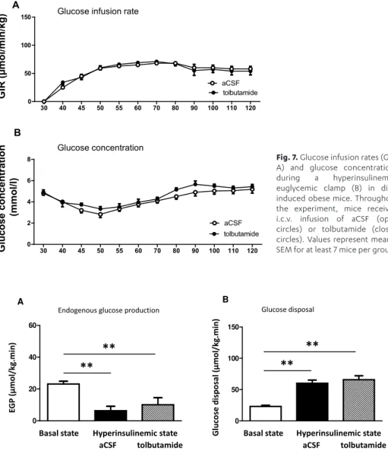 Fig. 7. Glucose infusion rates (GIR,  A)  and  glucose  concentrations  during  a   hyperinsulinemic-euglycemic  clamp  (B)  in   diet-induced obese mice