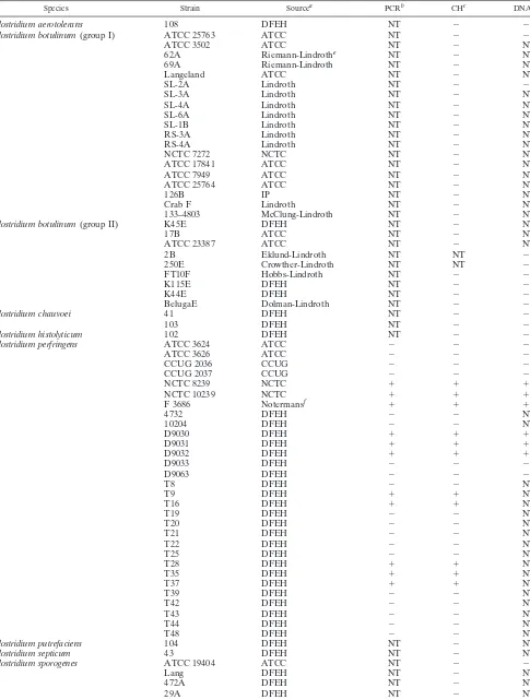 TABLE 1. Bacterial strains tested by cpe gene-speciﬁc PCR and DNA probe