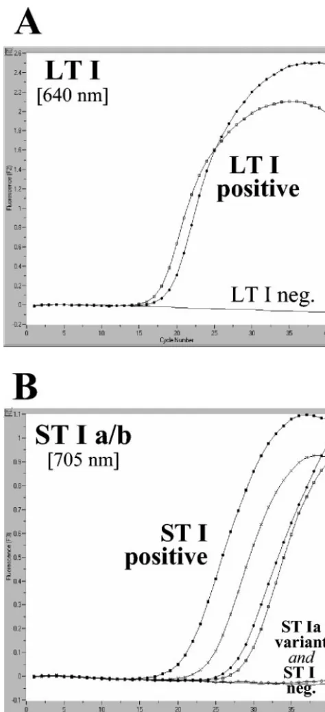 TABLE 3. Correlation of conventional PCR and LC-PCR resultsfor 329 bacterial isolates