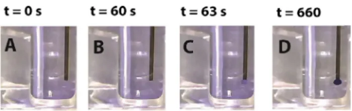 Fig. 2. Visualization of 3PEE coupled CE using CV. Video stills of: (A) initial condi-  tions with sample vial containing 375 μL crystal violet (10 μM) and 725 μL water-  saturated ethyl acetate; (B) end of droplet formation ( ∼100 nL, 1 M FA), outline of 