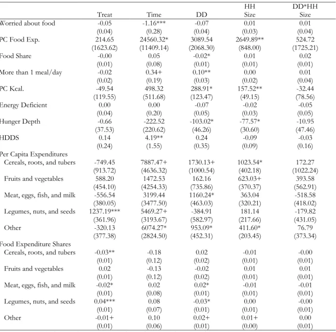 Table 2.5. Heterogeneous Program Impacts by Baseline Household Size, Marginal Effects (N = 6,580) 