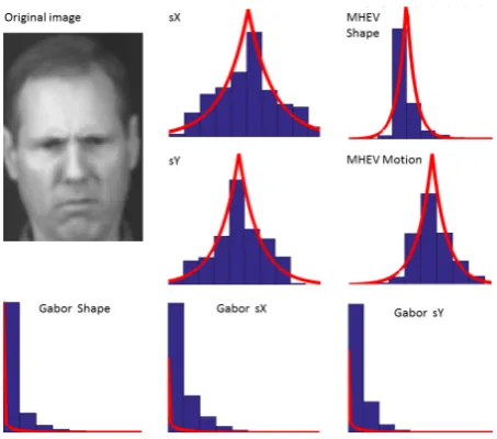 Table 1: Image ﬁlter responses and their parametric distri-butions over the Gaussian pyramid