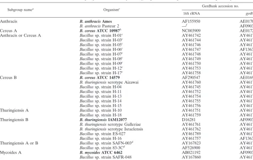 TABLE 4. Classiﬁcation of B. cereus group bacteria with sequenced gyrB genes according to their 16S rRNA gene sequences