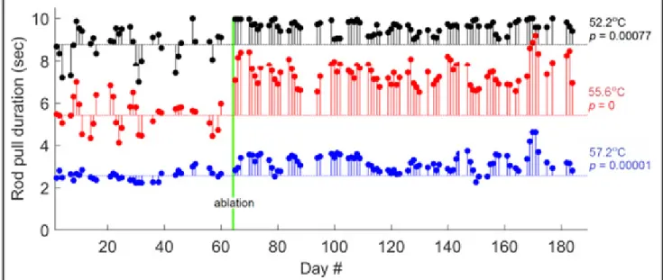 Figure 9: Results of Ablation in Subject A.  The average High, Medium, and Low noxious  temperature pull durations on a given day (Black, Red, and Blue plots respectively) are tracked  as a function of time