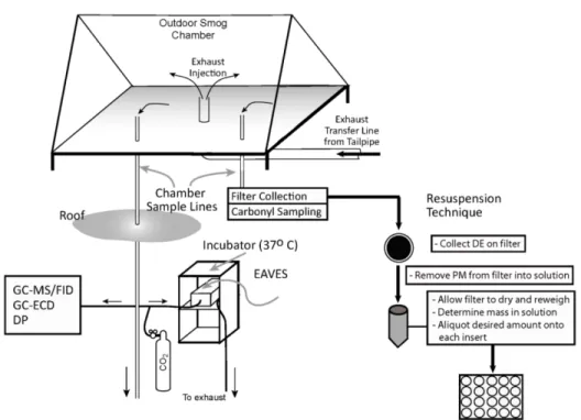 Figure 3-1. Schematic diagram of the outdoor smog chamber, the laboratory sampling systems,  and the biological exposure system (EAVES)