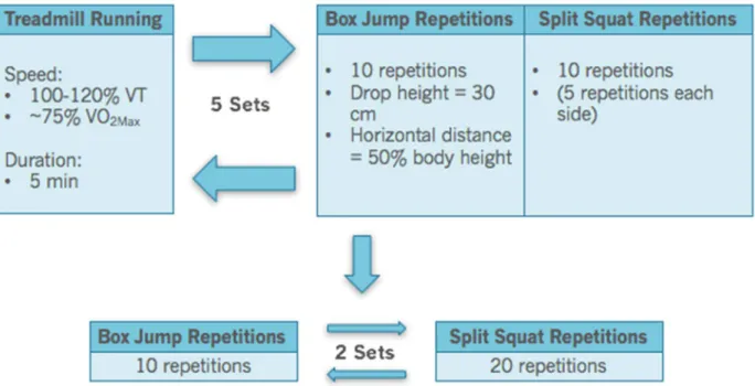 Figure 2. Fatiguing Protocol Overview. 