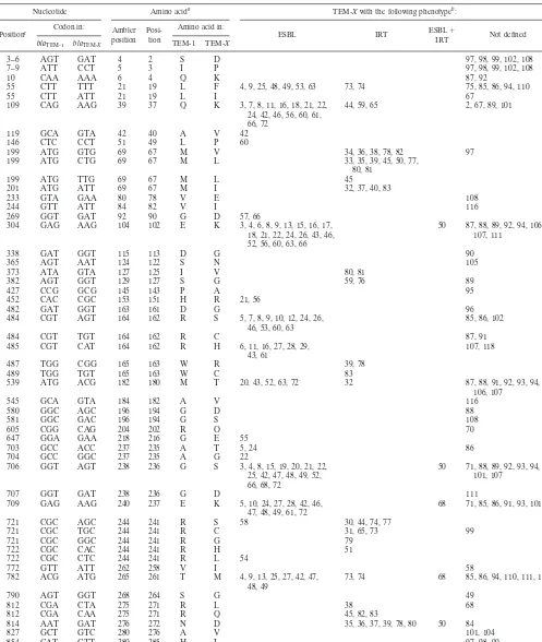 TABLE 2. TEM beta-lactamase polymorphism sites and corresponding mutants