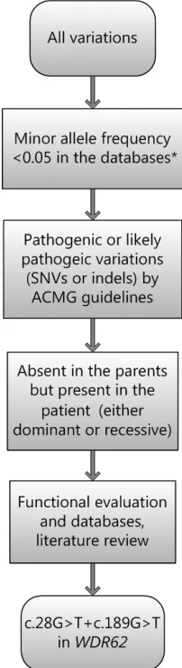 Figure 6: Filtering process for pathogenic mutations in all variations obtained by exome sequencing