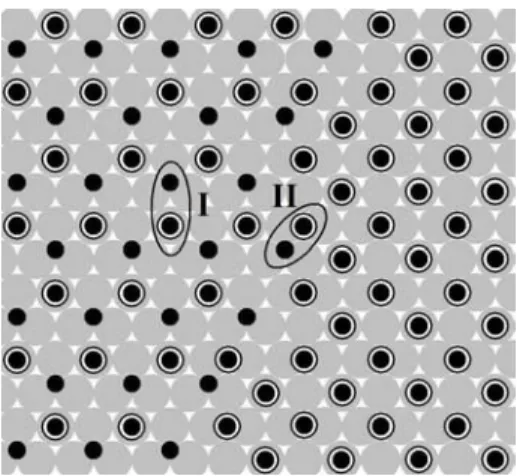 Figure 1.5. p(2x2) oxygen layer  coadsorbed with CO (left part) in  contact with c(4x2) layer of CO (right  part) The oxygen atoms and CO  molecules are shown by small black  circles and white and black circles,  respectively