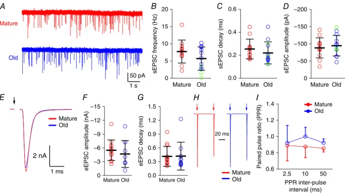 Figure 2. Synaptic transmission at the endbulb of Held in mature and old mice