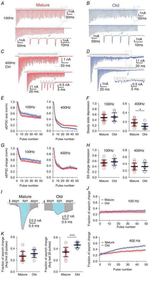 Figure 4. Asynchronous release is increased during high frequency stimulation in old mice