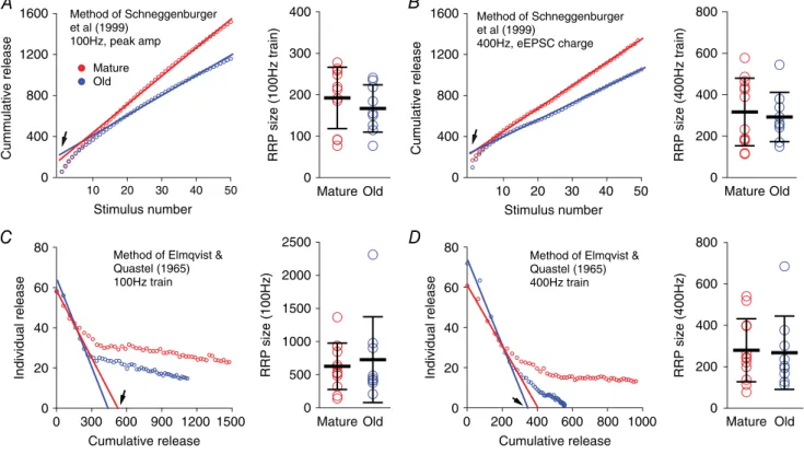 Figure 5. Estimates of RRP size in mature and old mice
