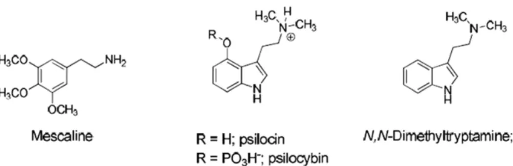 Fig. 2. Chemical structures of classic psychadelics mescaline, psilocybin, and DMT.