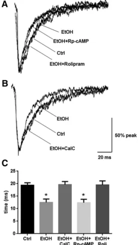Fig. 4. PKA activation or PKC inhibition mitigate ethanol-induced alterations in mIPSC responses